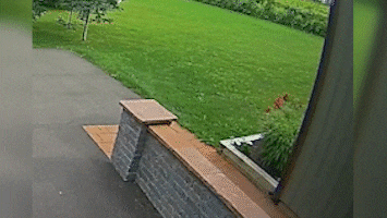 Watch: Doorbell camera captures sound of meteorite strike in Canada